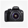 دوربین عکاسی کانن دیجیتال لنز 55-18 میلیمتر EOS 4000D 